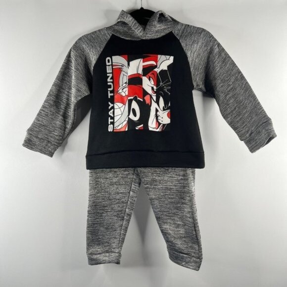 Space Jam New Kids Looney Tunes Stay Tuned 2 Piece Hoodie Set Size 4T Grey/Black - Picture 2 of 8